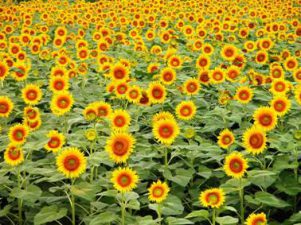 温暖大家庭，成长你我他